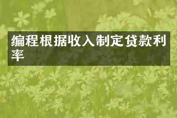 编程根据收入制定贷款利率