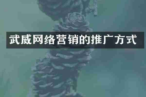 武威网络营销的推广方式