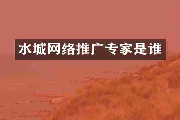 水城网络推广专家是谁