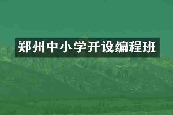 郑州中小学开设编程班