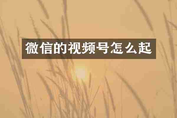 微信的视频号怎么起