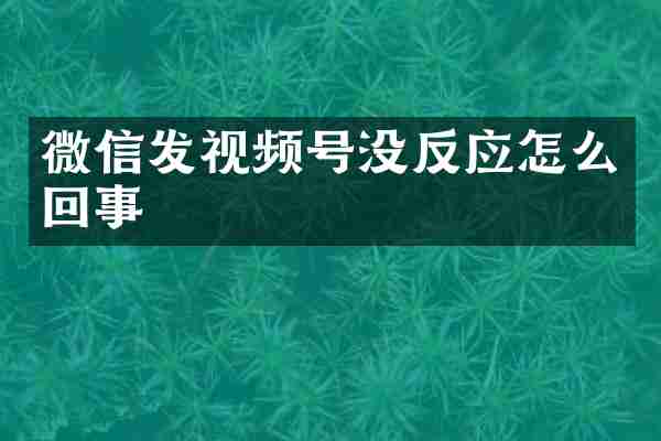 微信发视频号没反应怎么回事