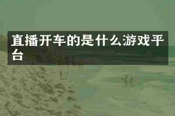 直播开车的是什么游戏平台