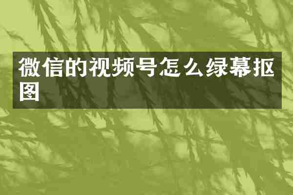 微信的视频号怎么绿幕抠图