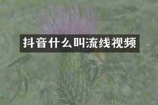 抖音什么叫流线视频