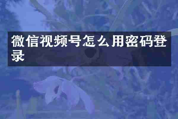 微信视频号怎么用密码登录