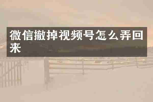 微信撤掉视频号怎么弄回来
