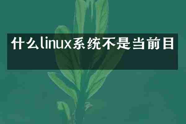 什么linux系统不是当前目录