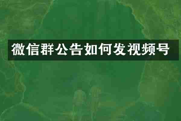 微信群公告如何发视频号