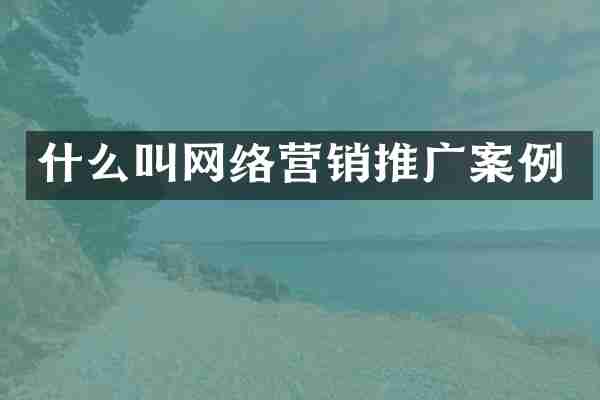 什么叫网络营销推广案例