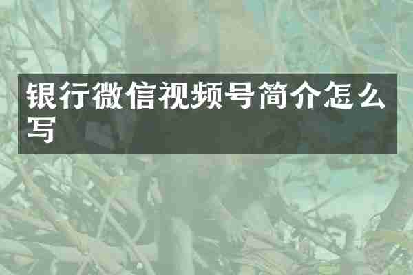 银行微信视频号简介怎么写