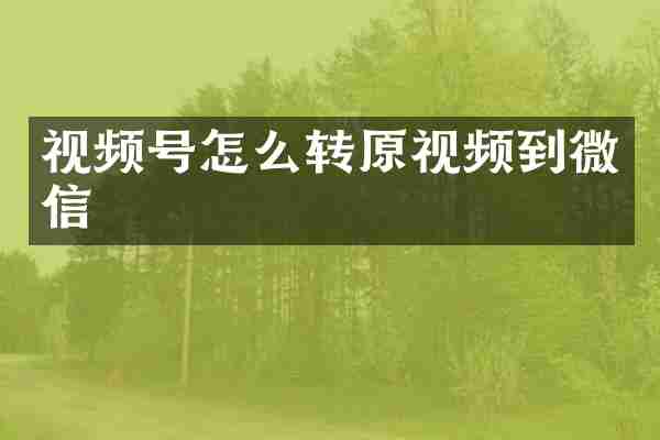 视频号怎么转原视频到微信
