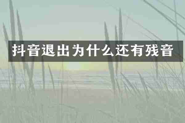 抖音退出为什么还有残音