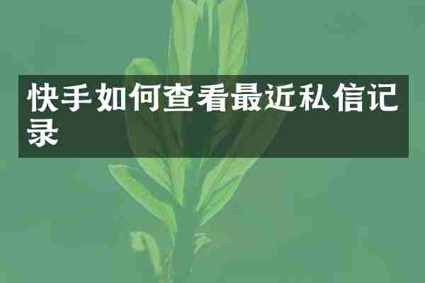 快手如何查看最近私信记录