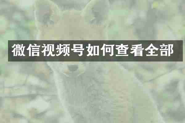 微信视频号如何查看全部