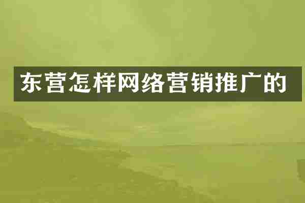 东营怎样网络营销推广的