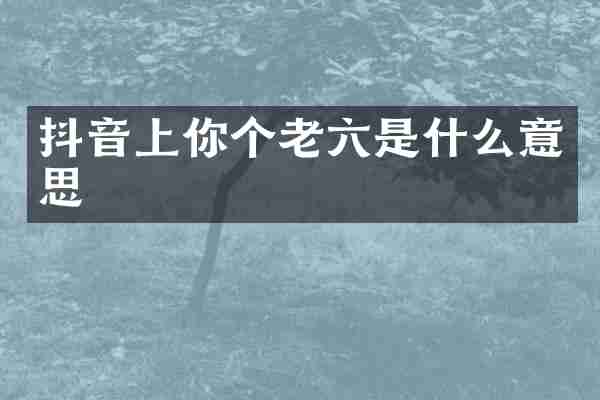 抖音上你个老六是什么意思