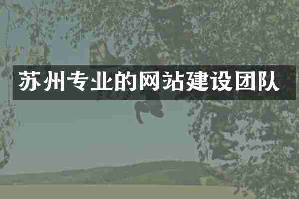 苏州专业的网站建设团队