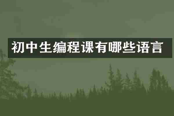 初中生编程课有哪些语言