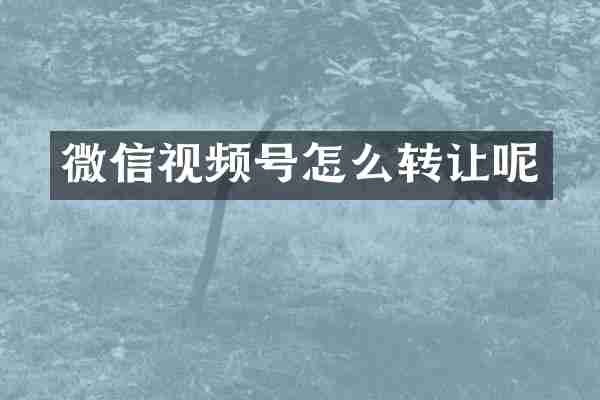 微信视频号怎么转让呢