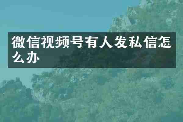 微信视频号有人发私信怎么办