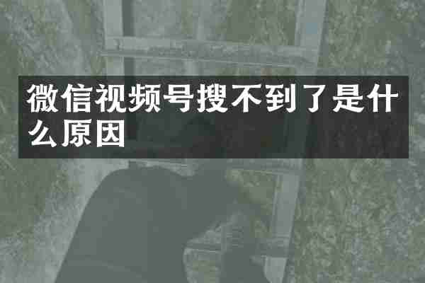 微信视频号搜不到了是什么原因