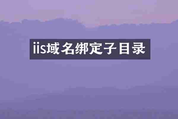 iis域名绑定子目录