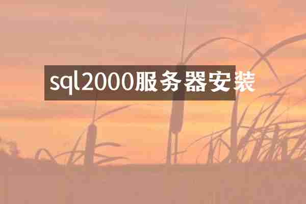 sql2000服务器安装