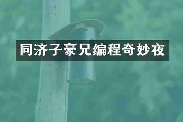 同济子豪兄编程奇妙夜