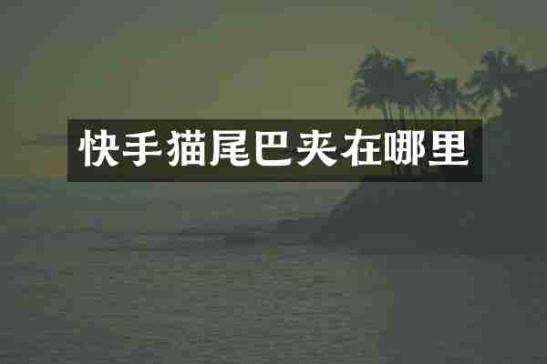 快手猫尾巴夹在哪里