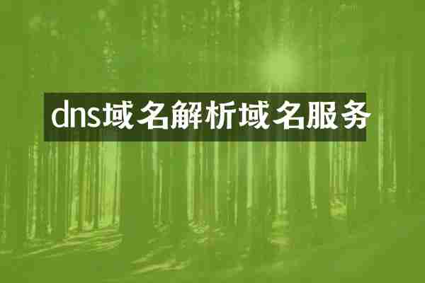 dns域名解析域名服务