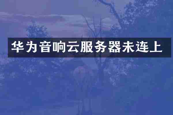 华为音响云服务器未连上