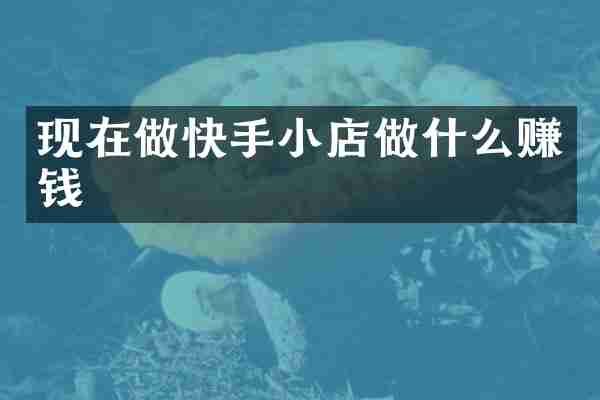 现在做快手小店做什么赚钱