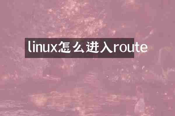 linux怎么进入route
