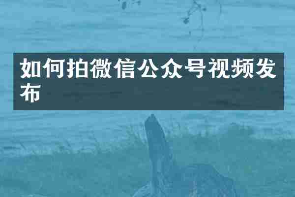 如何拍微信公众号视频发布