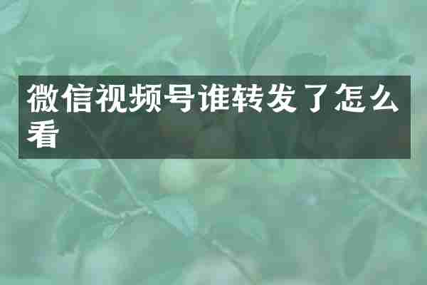 微信视频号谁转发了怎么看