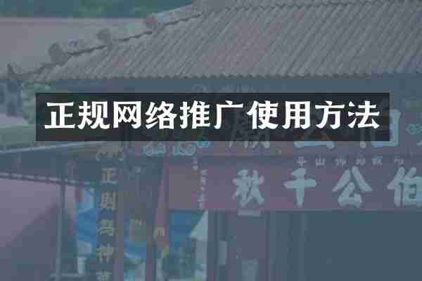 正规网络推广使用方法