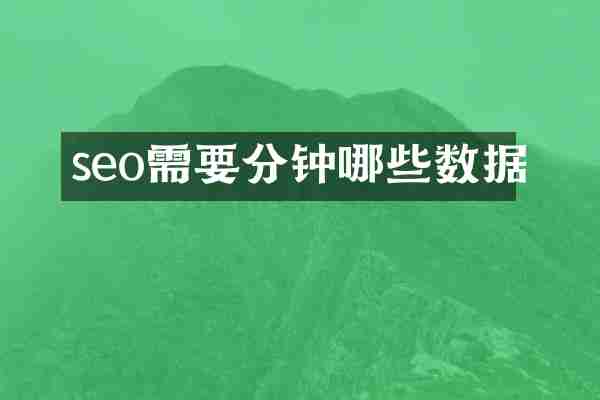seo需要分钟哪些数据