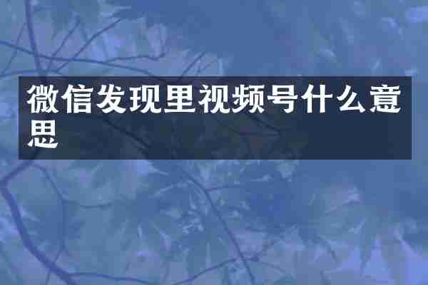 微信发现里视频号什么意思