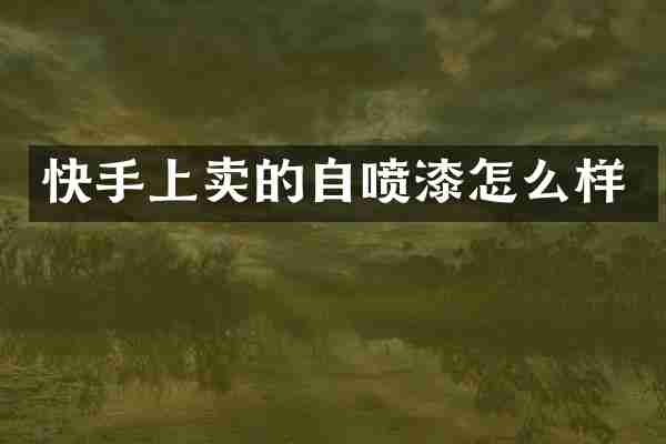 快手上卖的自喷漆怎么样