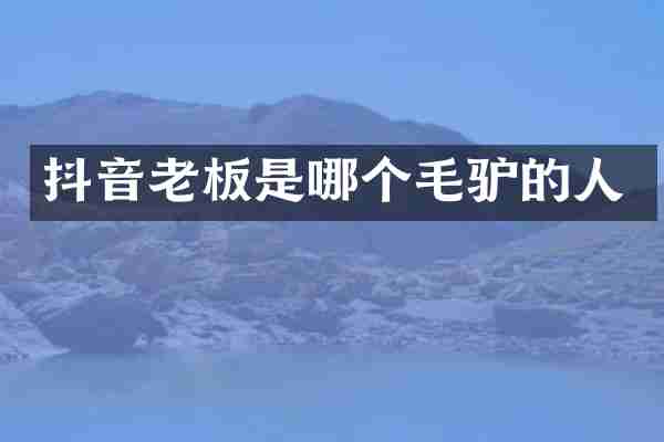 抖音老板是哪个毛驴的人