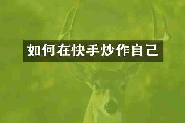 如何在快手炒作自己