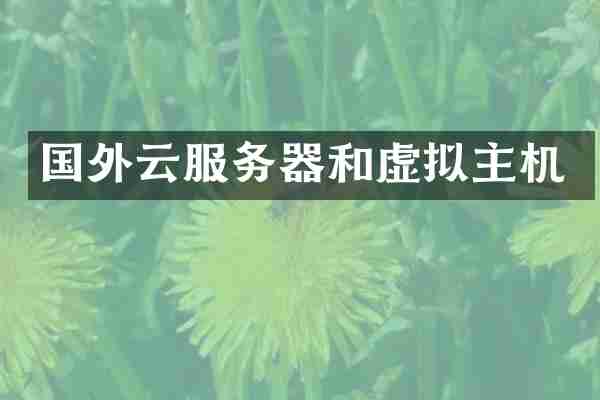 国外云服务器和虚拟主机