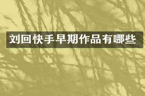 刘回快手早期作品有哪些
