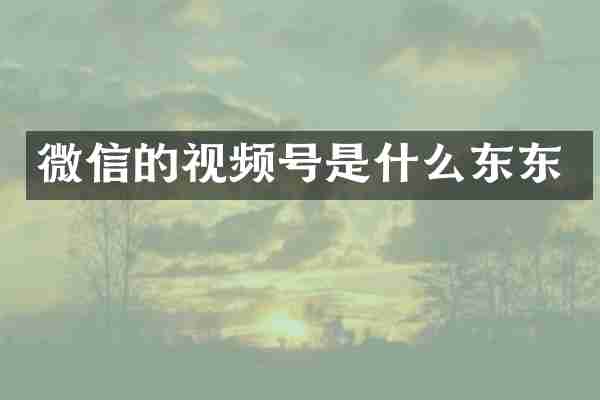 微信的视频号是什么东东
