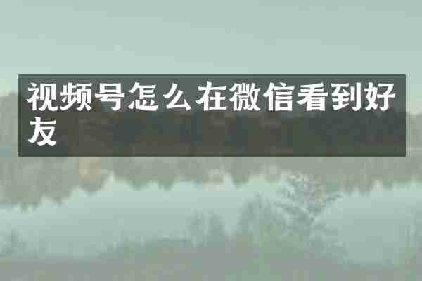 视频号怎么在微信看到好友