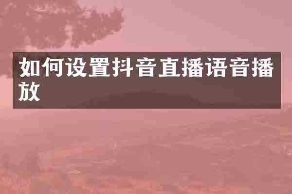 如何设置抖音直播语音播放