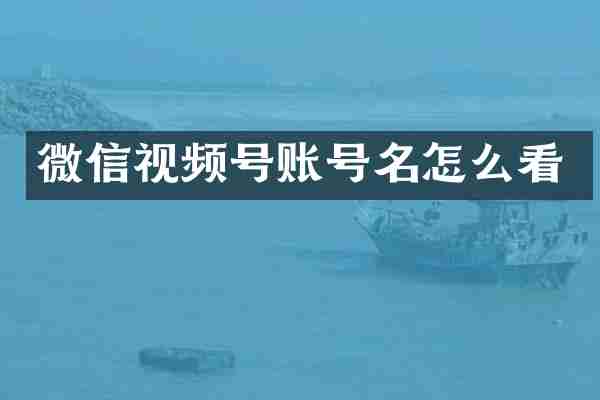 微信视频号账号名怎么看