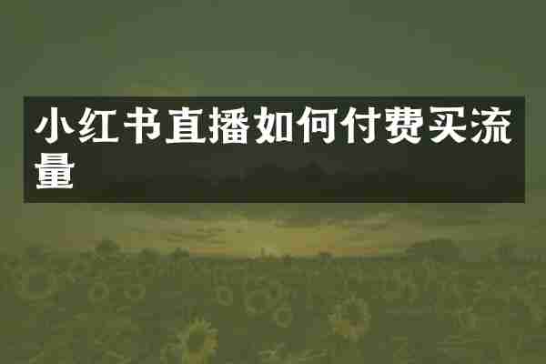 小红书直播如何付费买流量