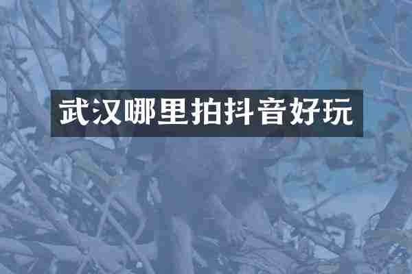 武汉哪里拍抖音好玩
